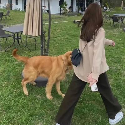 更好的姐妹